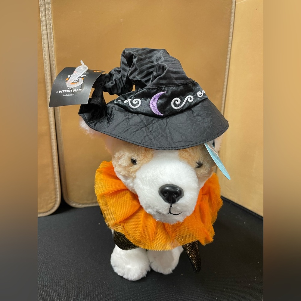 Dog outfit Witches hat, and cat ruff